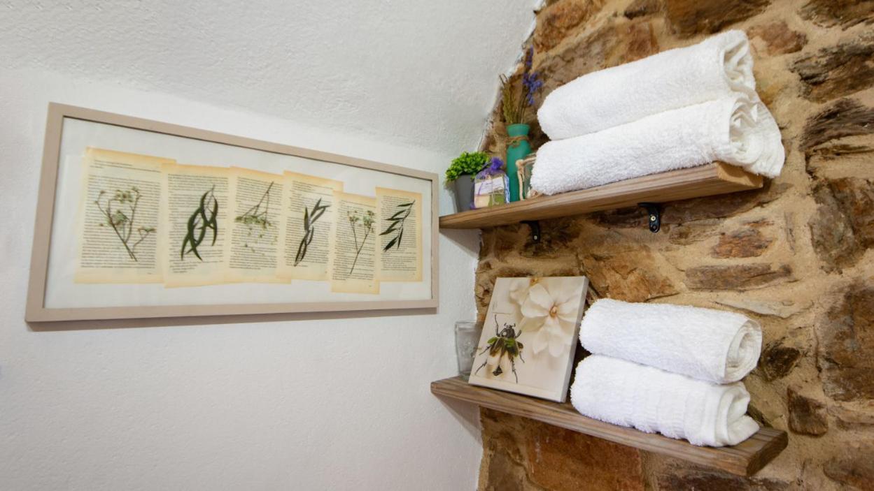 Apartamento Duplex Rural Con Chimenea Y Vistas Panoramicas Desde La Cama Sant Marti Sacalm Exteriér fotografie